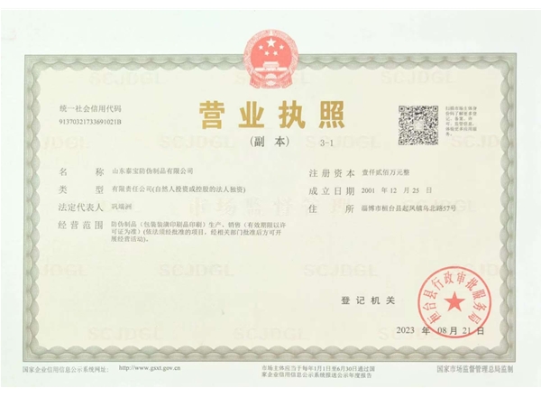 山东泰宝防伪制品有限公司