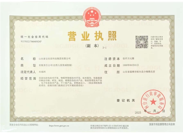 山东泰宝信息科技集团有限公司